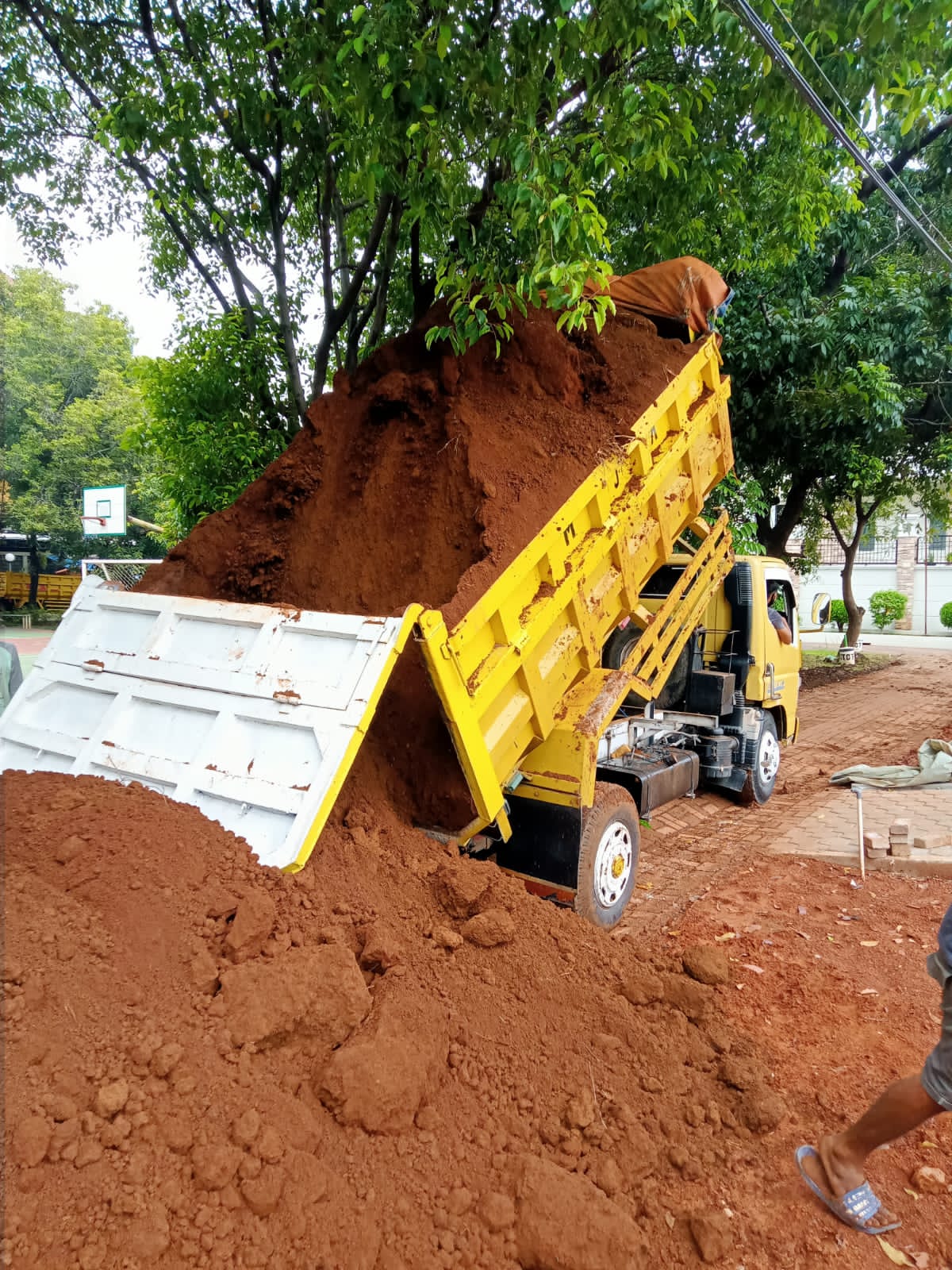 WhatsApp Image 2026-02-21 at 10.42.51 (1)